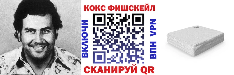 закладка  Сосновый Бор  COCAIN Fish Scale 