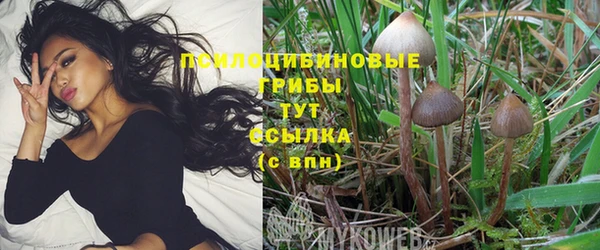 экстази Баксан