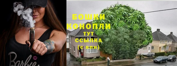 хмурый Новозыбков