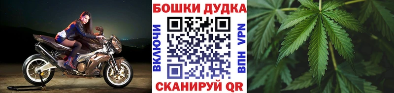 где купить наркотик мега сайт Шишки марихуана план Сосновый Бор